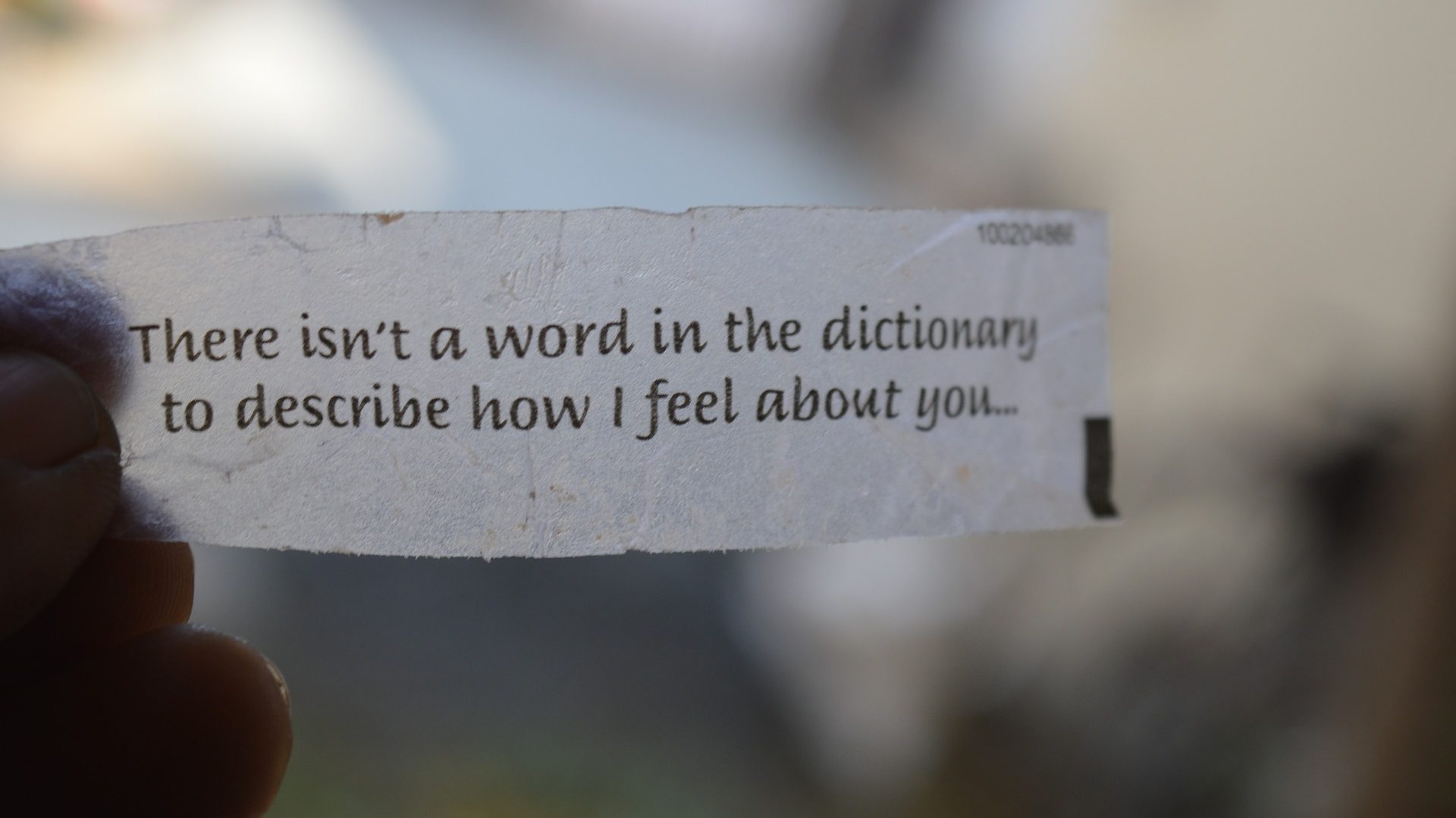 cropped-love-quote-1709944_1920.jpg